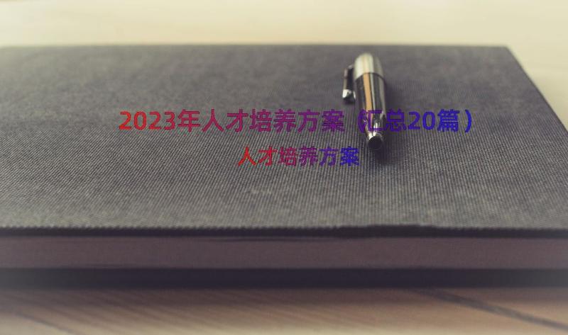 2023年人才培养方案（汇总20篇）