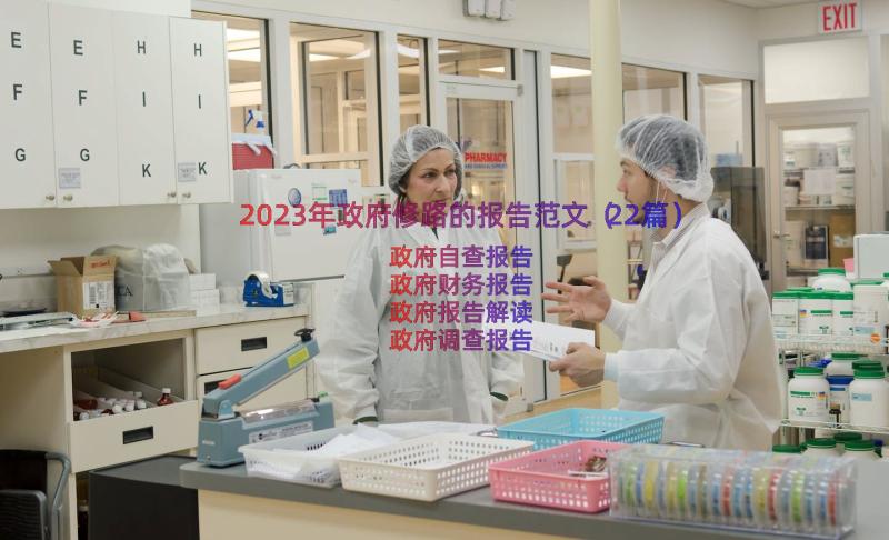 2023年政府修路的报告范文（22篇）