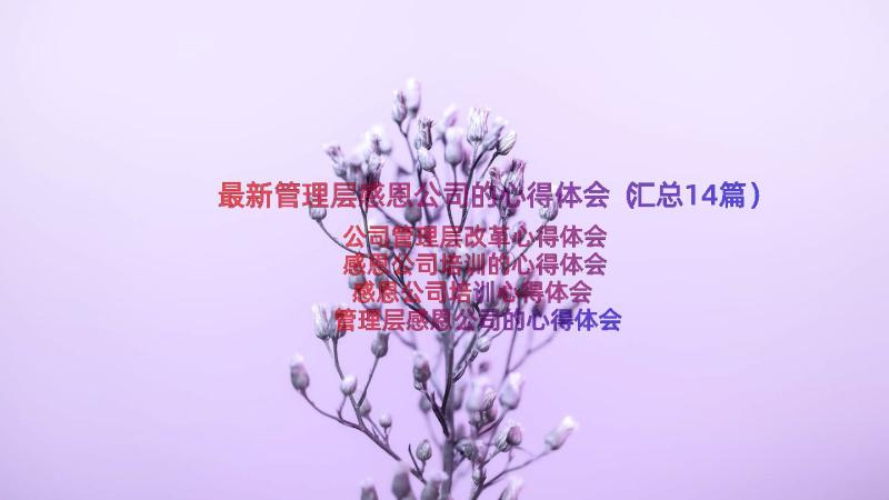 最新管理层感恩公司的心得体会（汇总14篇）