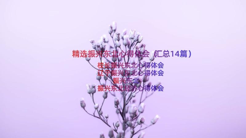 精选振兴东北心得体会（汇总14篇）