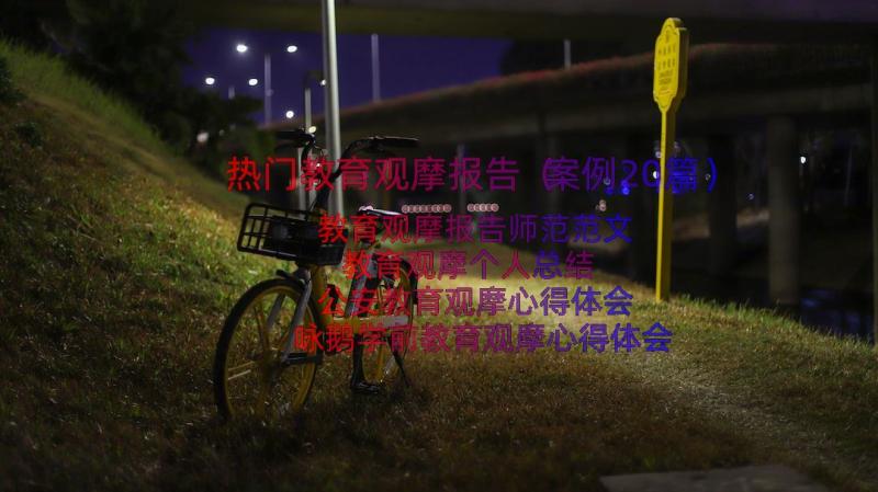 热门教育观摩报告（案例20篇）