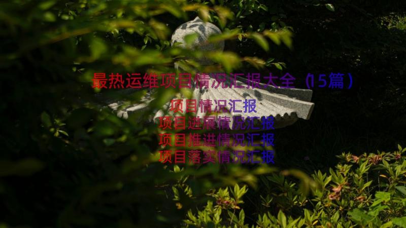 最热运维项目情况汇报大全（15篇）