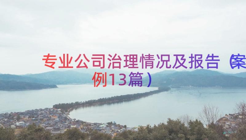 专业公司治理情况及报告（案例13篇）