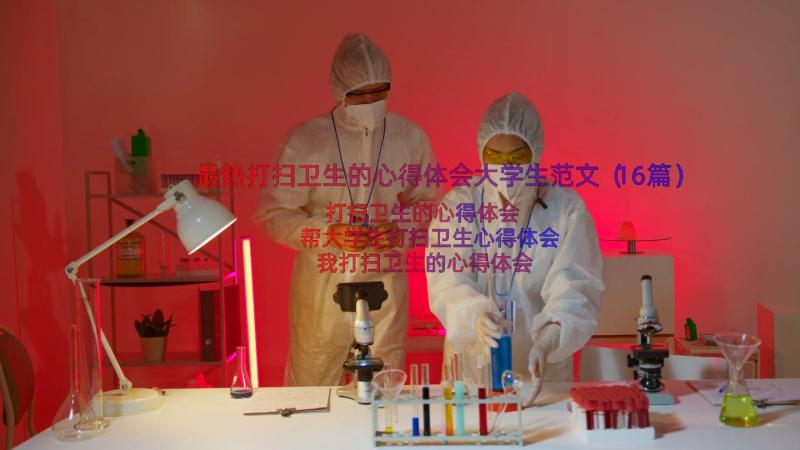 最热打扫卫生的心得体会大学生范文（16篇）