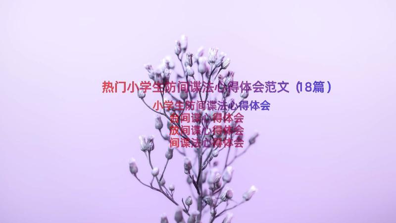 热门小学生防间谍法心得体会范文（18篇）