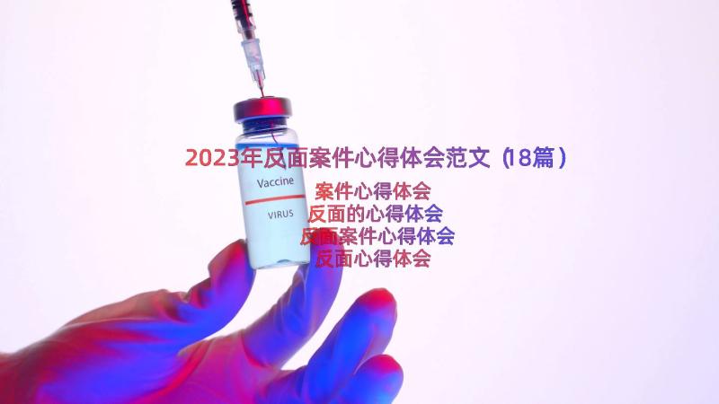 2023年反面案件心得体会范文（18篇）