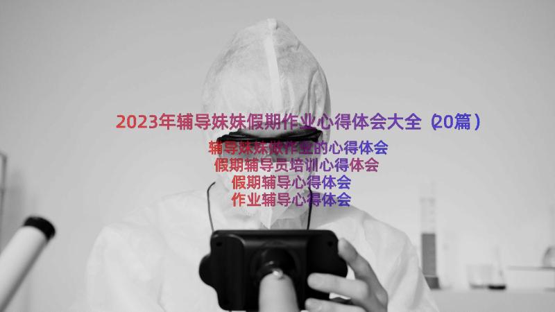 2023年辅导妹妹假期作业心得体会大全（20篇）