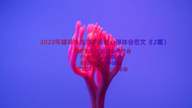 2023年辅导妹妹假期作业心得体会范文（12篇）