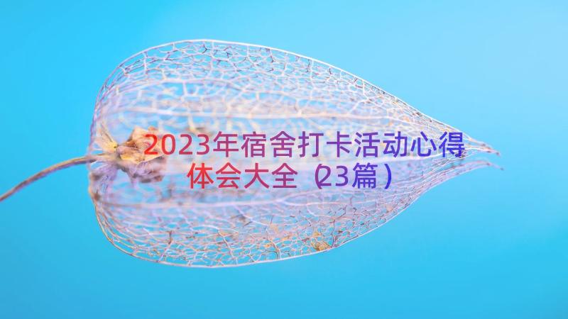 2023年宿舍打卡活动心得体会大全（23篇）