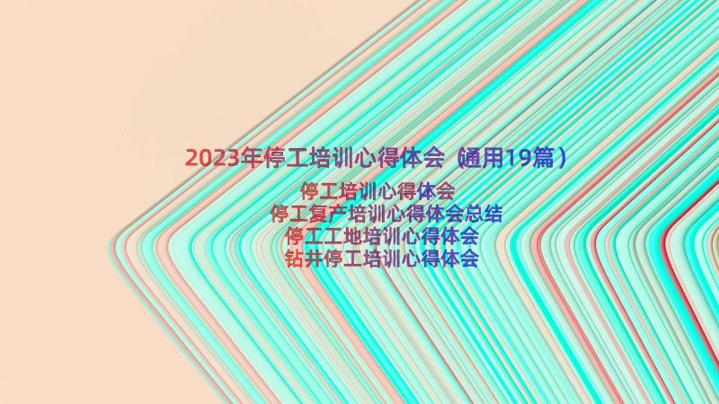 2023年停工培训心得体会（通用19篇）