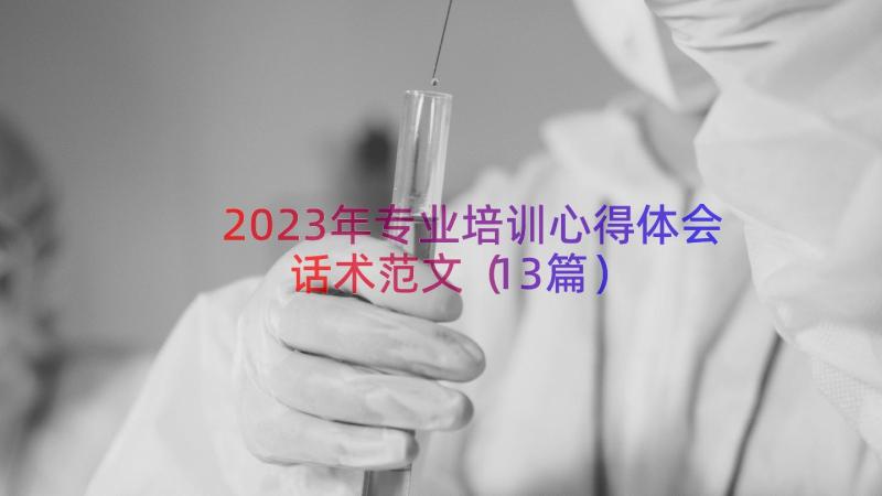 2023年专业培训心得体会话术范文（13篇）