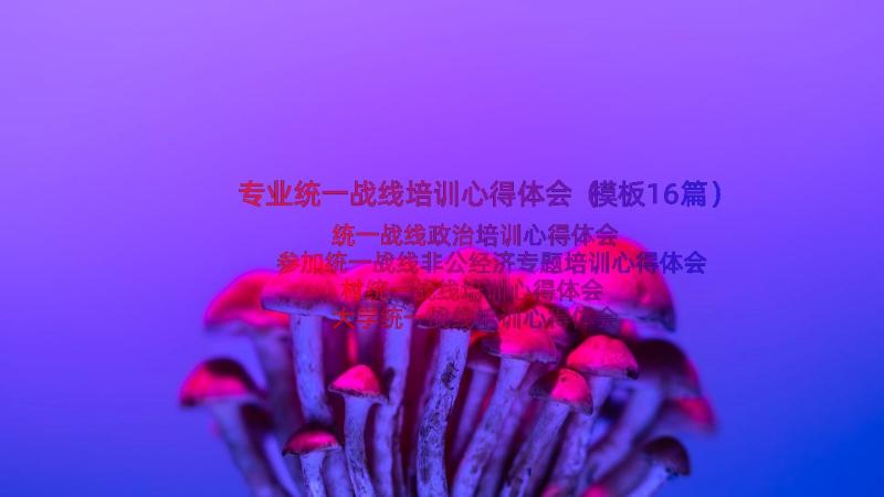 专业统一战线培训心得体会（模板16篇）