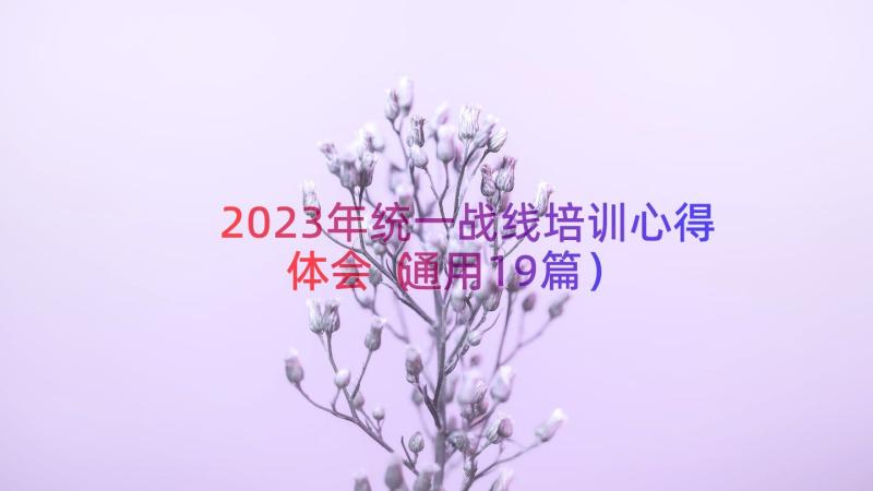 2023年统一战线培训心得体会（通用19篇）