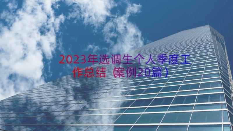 2023年选调生个人季度工作总结（案例20篇）