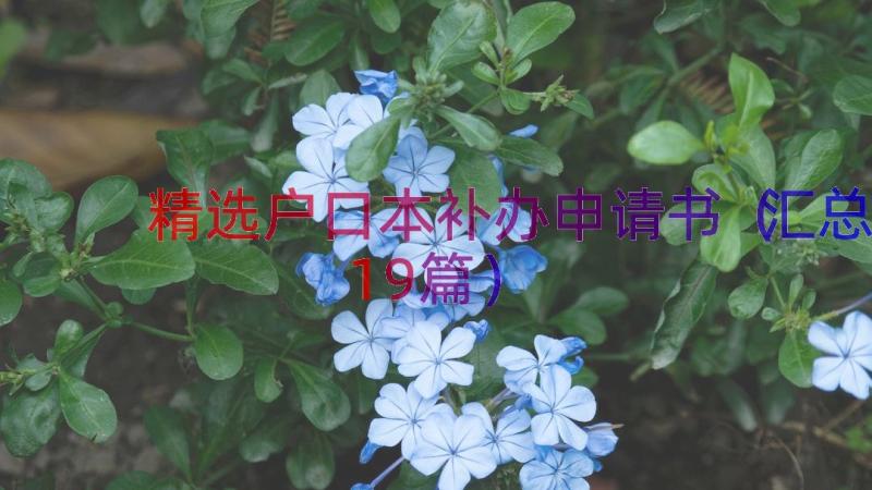 精选户口本补办申请书（汇总19篇）