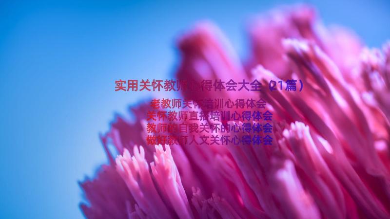 实用关怀教师心得体会大全（21篇）