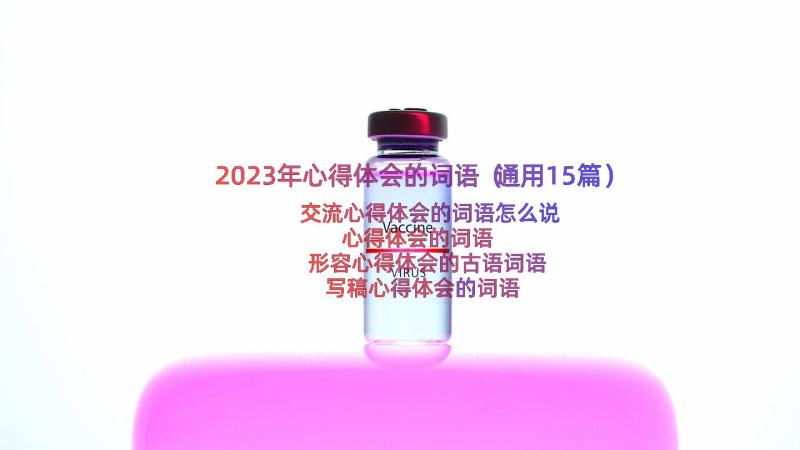 2023年心得体会的词语（通用15篇）