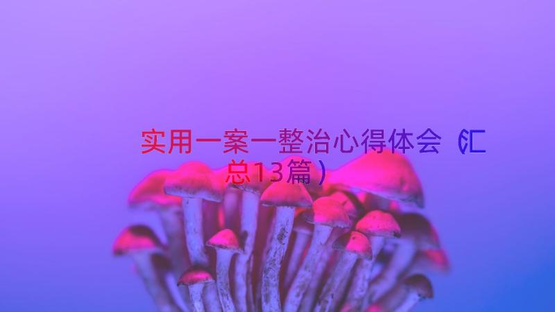 实用一案一整治心得体会（汇总13篇）