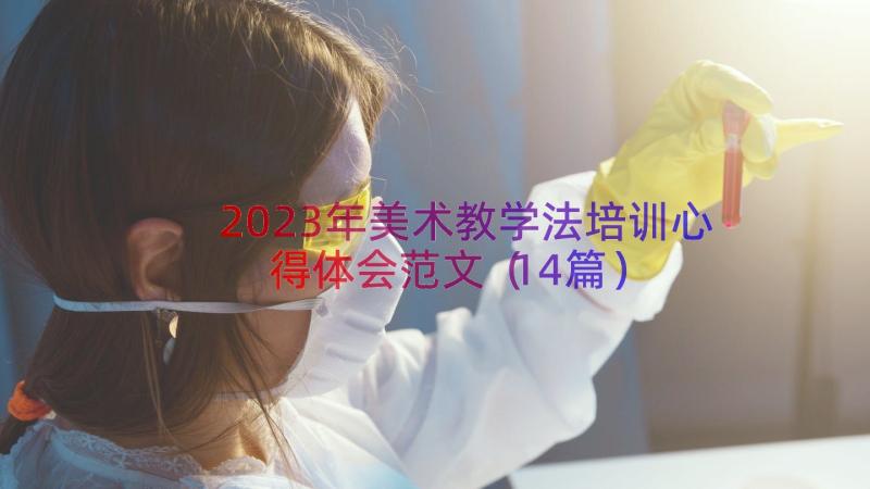 2023年美术教学法培训心得体会范文（14篇）