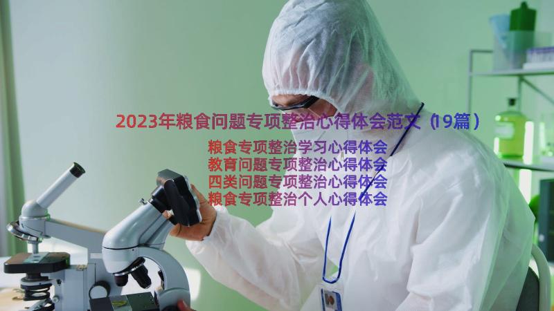 2023年粮食问题专项整治心得体会范文（19篇）