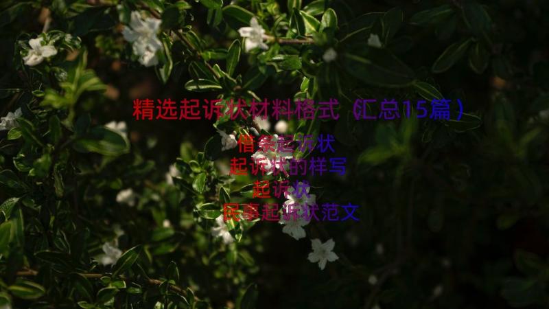 精选起诉状材料格式（汇总15篇）