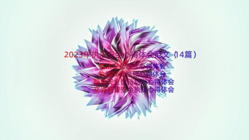 2023年执法安全心得体会范文（14篇）