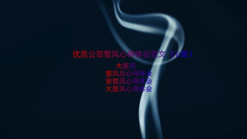 优质公司整风心得体会范文（16篇）