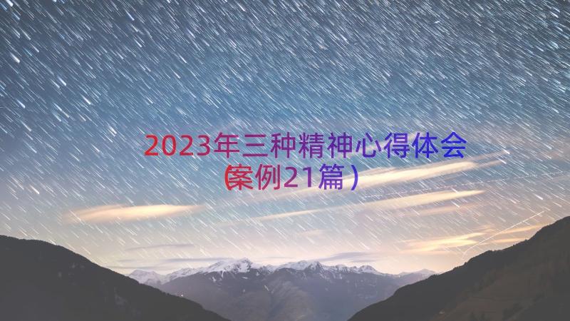 2023年三种精神心得体会（案例21篇）