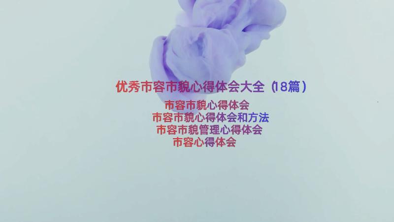 优秀市容市貌心得体会大全（18篇）