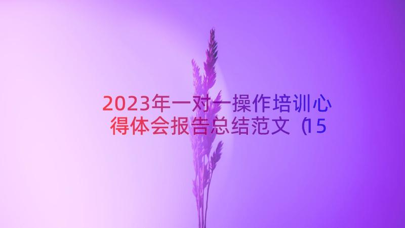 2023年一对一操作培训心得体会报告总结范文（15篇）