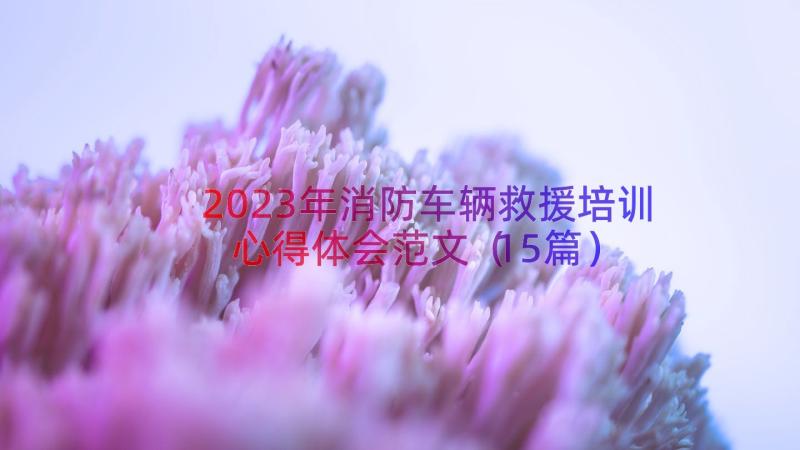 2023年消防车辆救援培训心得体会范文（15篇）