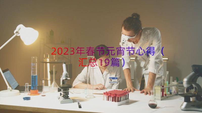 2023年春节元宵节心得（汇总19篇）