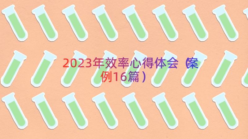 2023年效率心得体会（案例16篇）