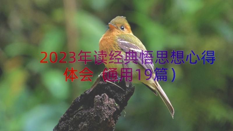 2023年读经典悟思想心得体会（通用19篇）