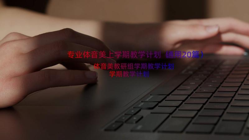 专业体音美上学期教学计划（通用20篇）