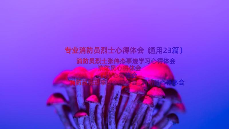 专业消防员烈士心得体会（通用23篇）