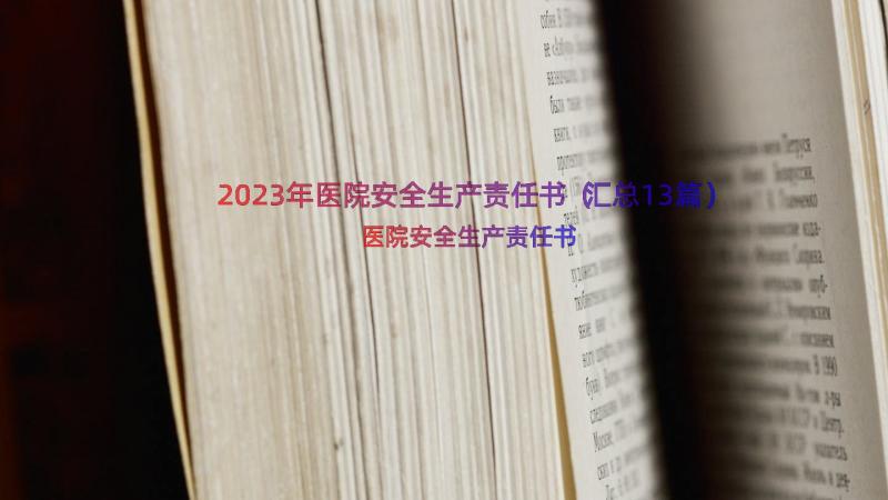 2023年医院安全生产责任书（汇总13篇）