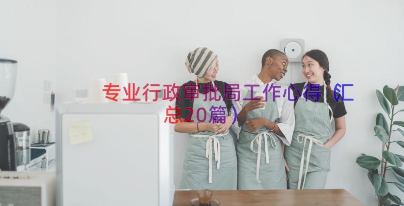 专业行政审批局工作心得（汇总20篇）