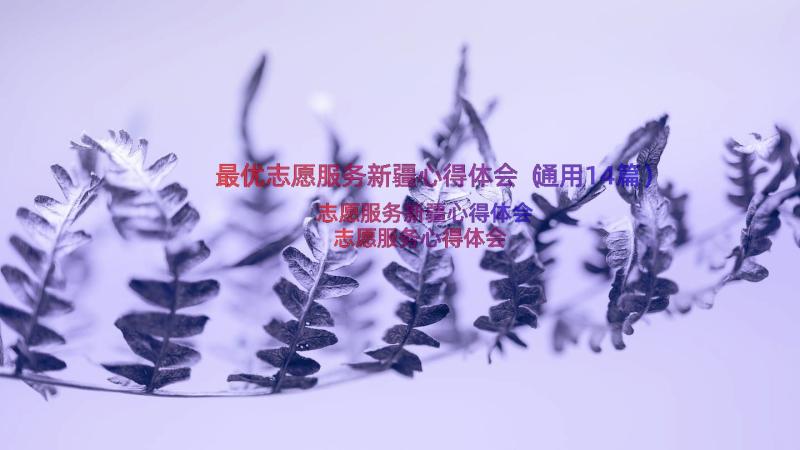 最优志愿服务新疆心得体会（通用14篇）