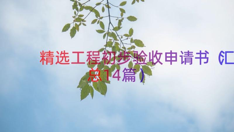 精选工程初步验收申请书（汇总14篇）