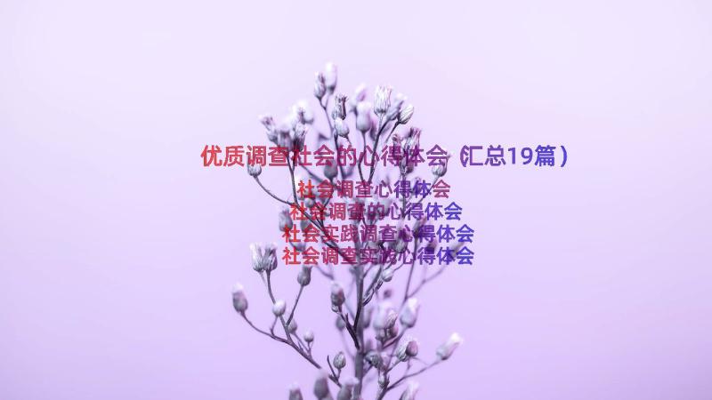 优质调查社会的心得体会（汇总19篇）