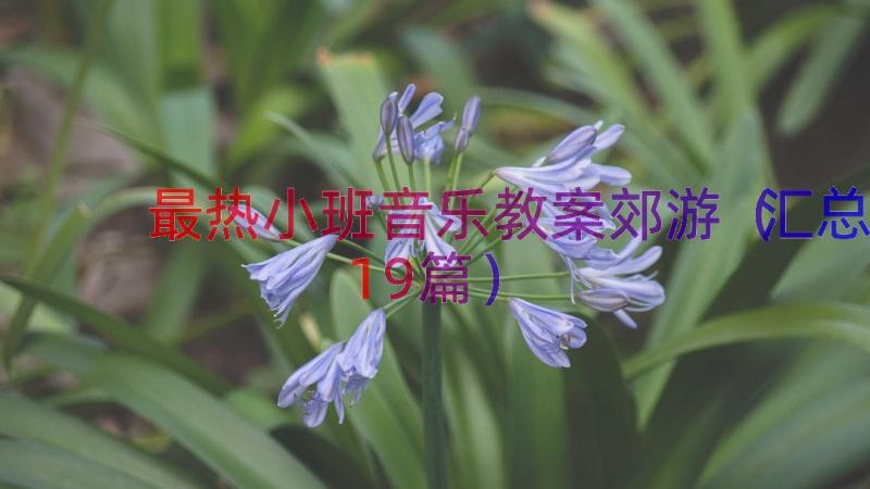 最热小班音乐教案郊游（汇总19篇）