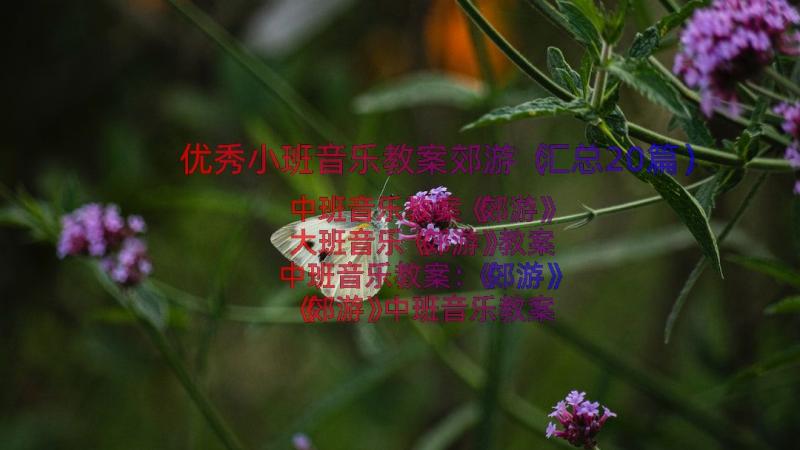 优秀小班音乐教案郊游（汇总20篇）