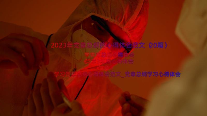 2023年党章总纲的心得体会范文（20篇）