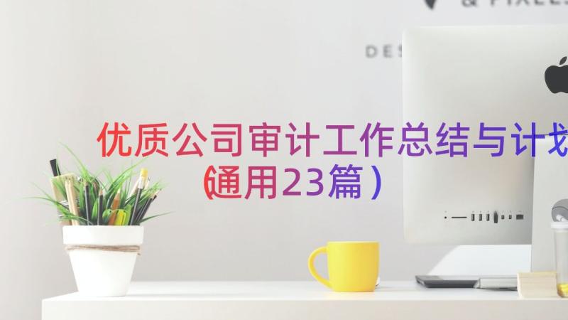 优质公司审计工作总结与计划（通用23篇）