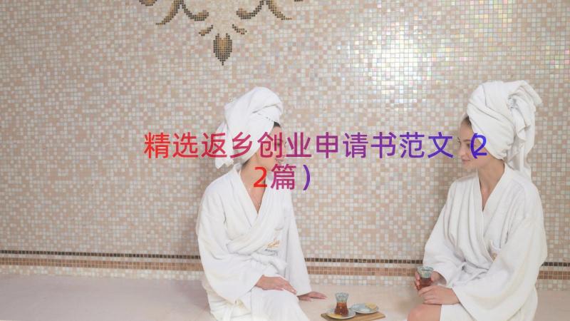 精选返乡创业申请书范文（22篇）