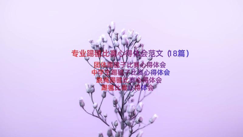 专业踢毽比赛心得体会范文（18篇）