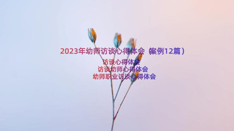 2023年幼师访谈心得体会（案例12篇）