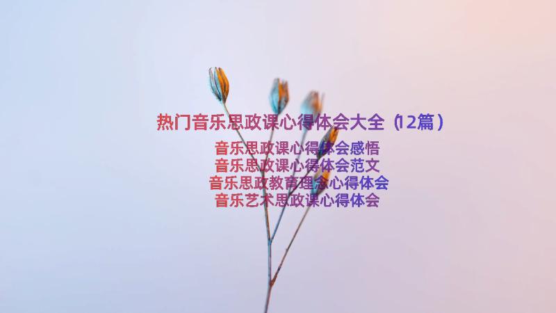 热门音乐思政课心得体会大全（12篇）