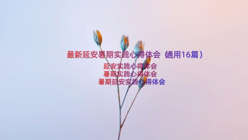 最新延安暑期实践心得体会（通用16篇）